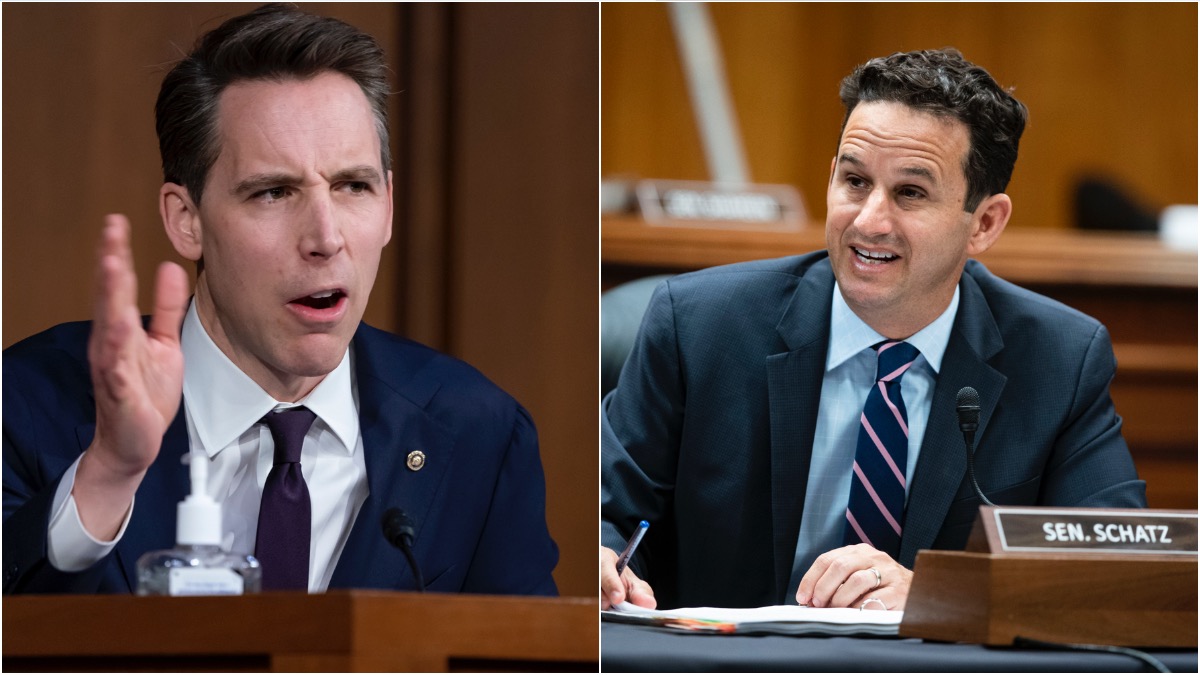 Schatz-Hawley montage