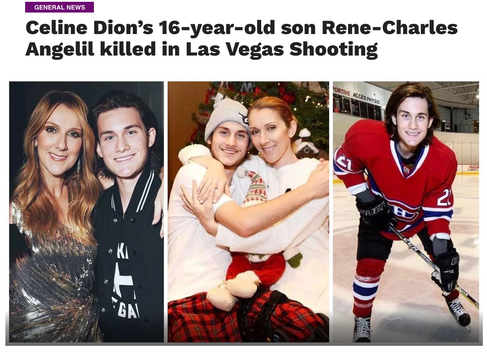 Celine Dion fake news photo