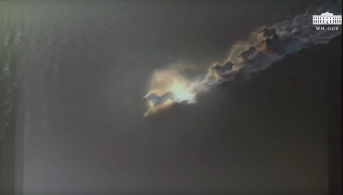 trump nk trailer screenshot horses