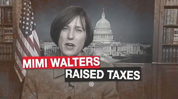 Katie Porter ad screenshot