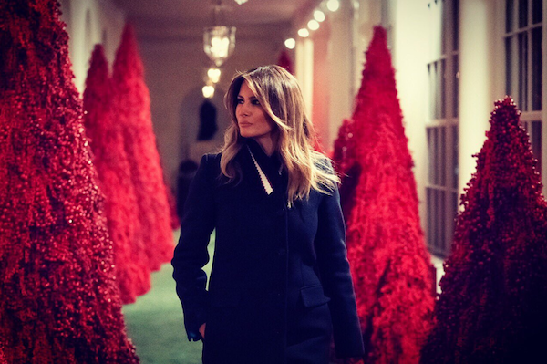 Red trees Xmas WH