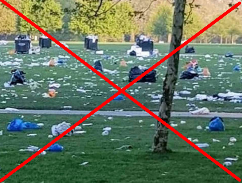 Miscaptioned climate strike photo