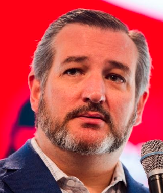 Ted Cruz Photo