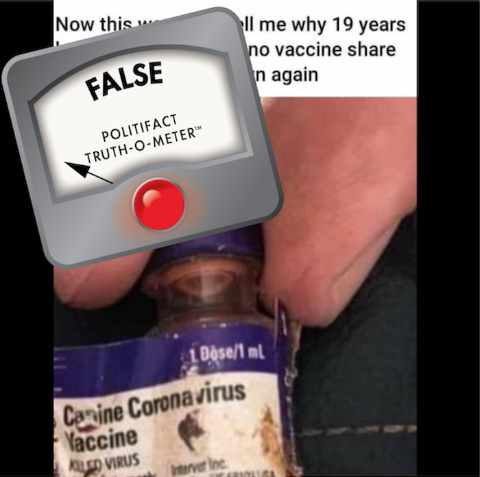 canine coronavirus false