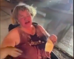 wheelchair minnesota
