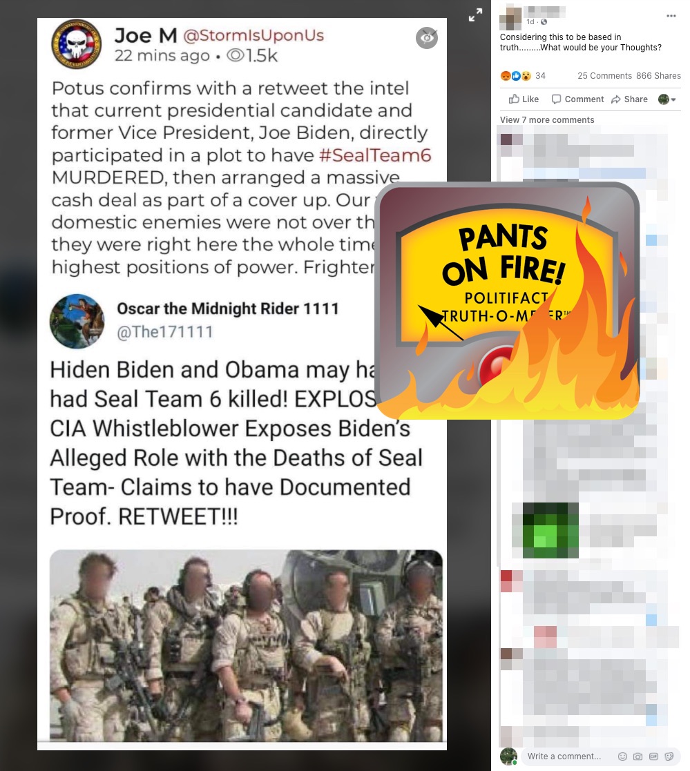 Navy SEALs conspiracy theory