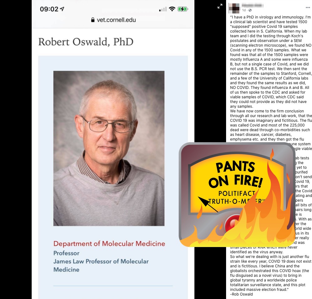 COVID hoax text post