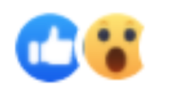 FB screenshot zoomed in 3