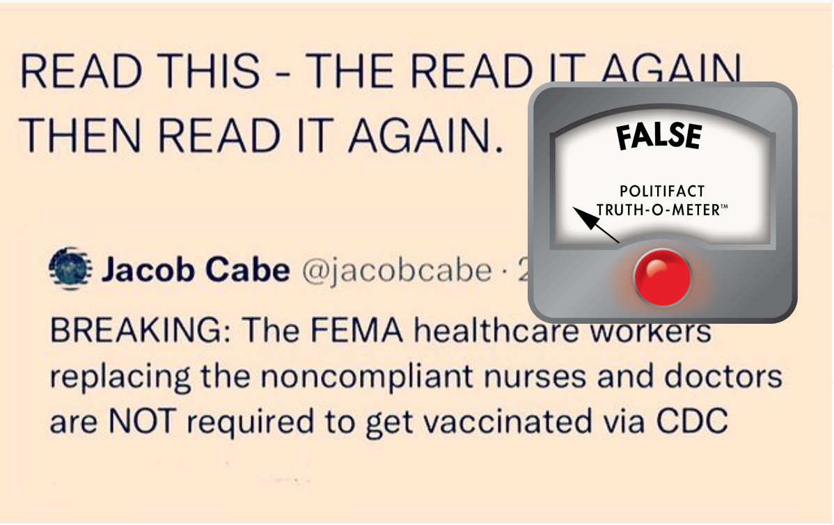 fema instagram post