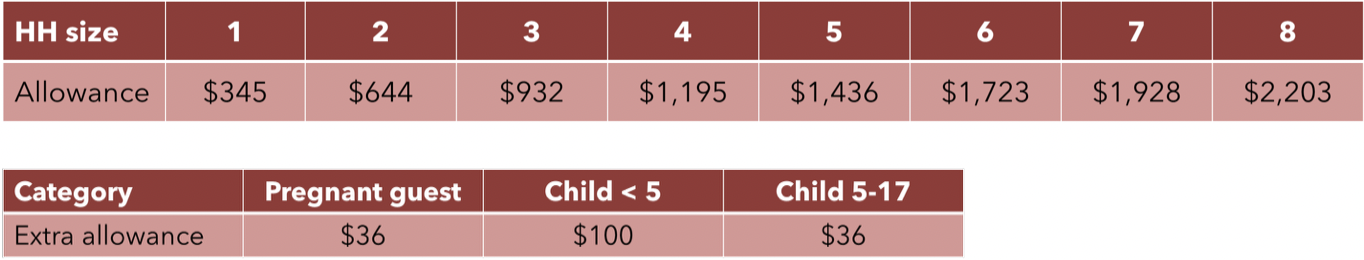 Graph of debit cards for sheltered families monthly allotment, 2/21/24