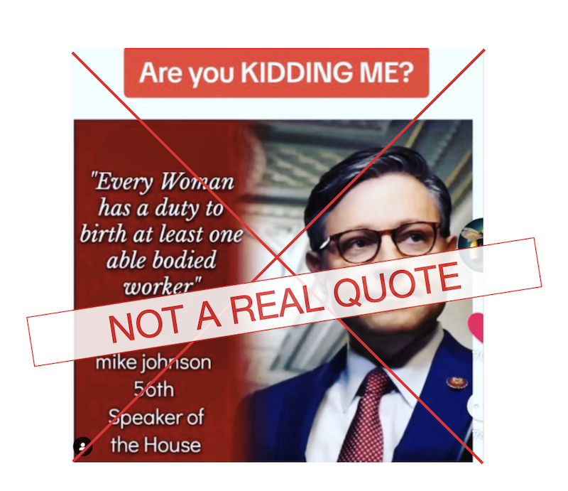 Fake Mike Johnson quote able bodied