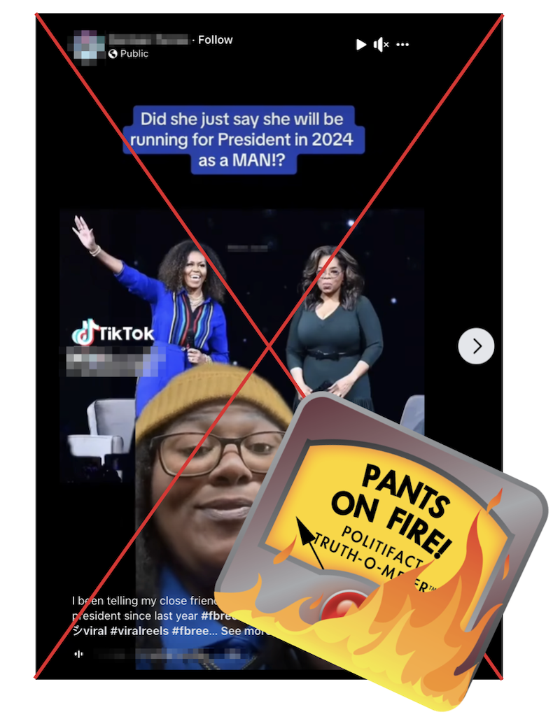 POF embed michelle obama