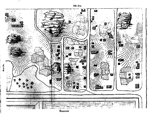 Seneca Village map