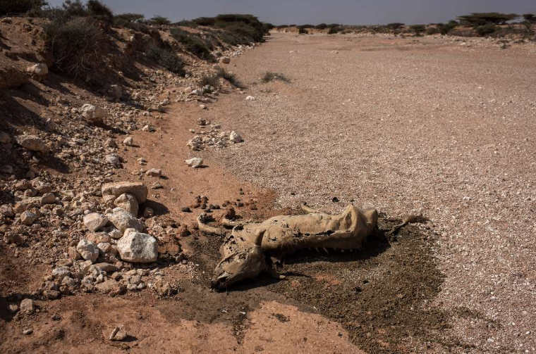 Somalia drought