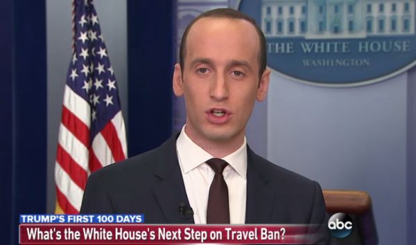 Stephen Miller on This Week