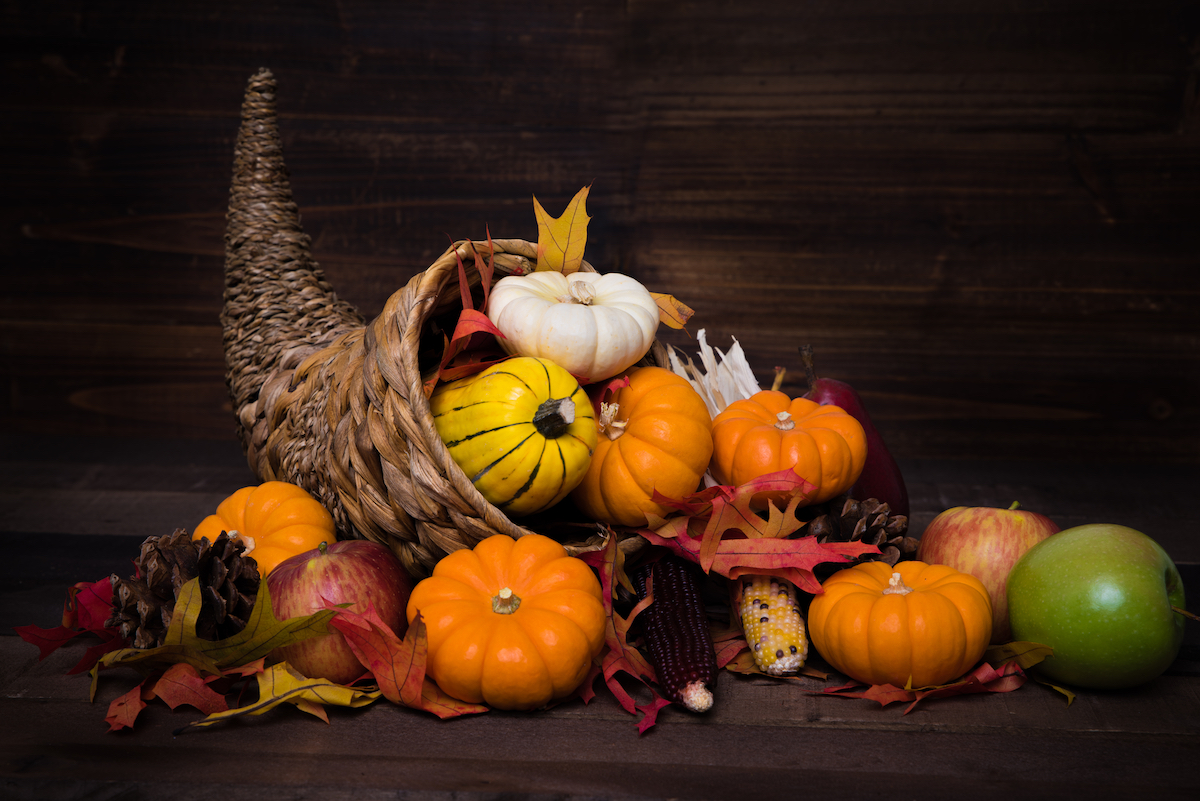 Thanksgiving Cornucopia