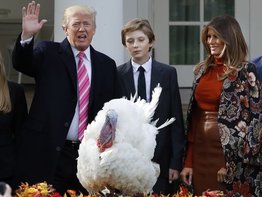 Donald, Melania and Barron Trump at turkey pardon in 2017