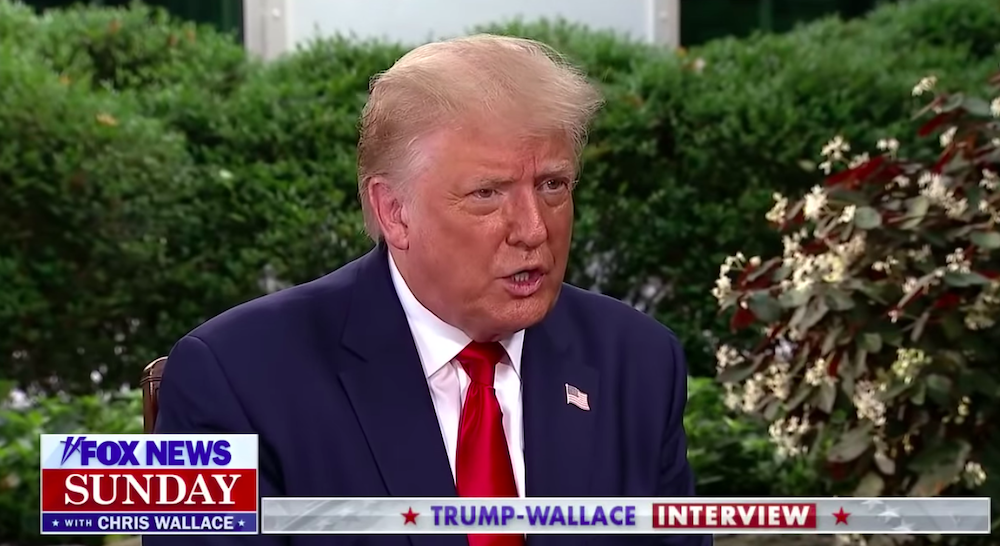 Trump Wallace interview