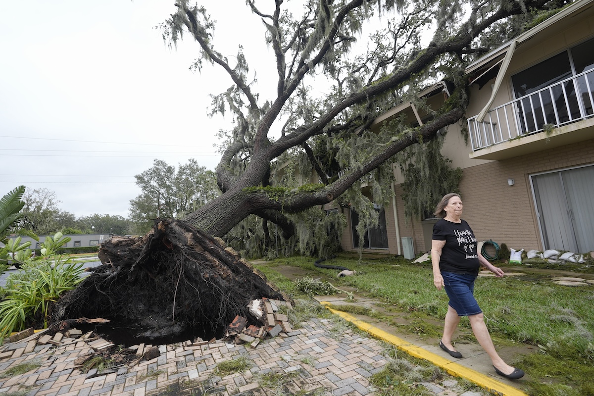 Woman walks by a downed oak tree at apartment complex in Sanford, Fla., 10-10-2024
