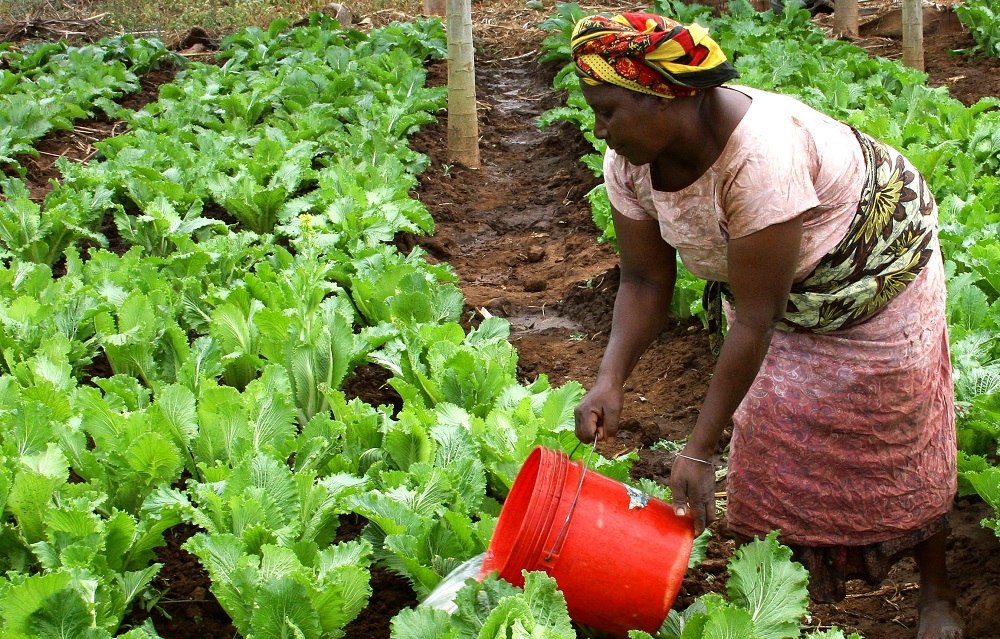 tanzania farmer