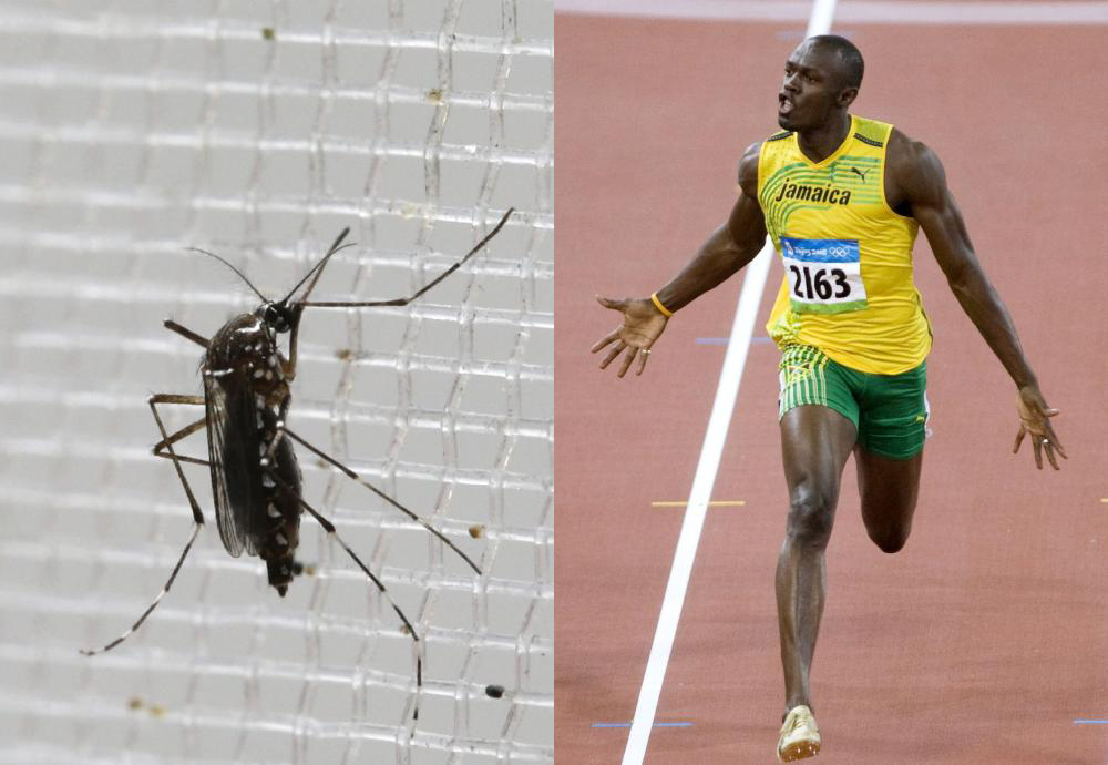 Usain Bolt mosquitoes