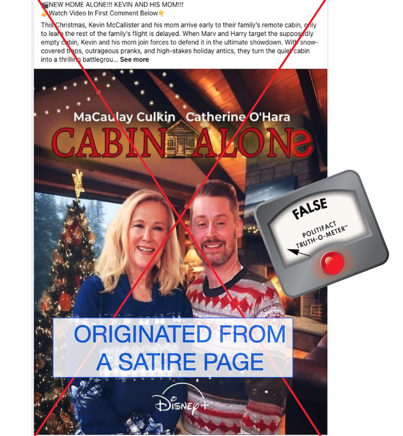 Home Alone satire graphic - 11-07-2024