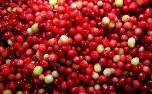 Cranberries photo