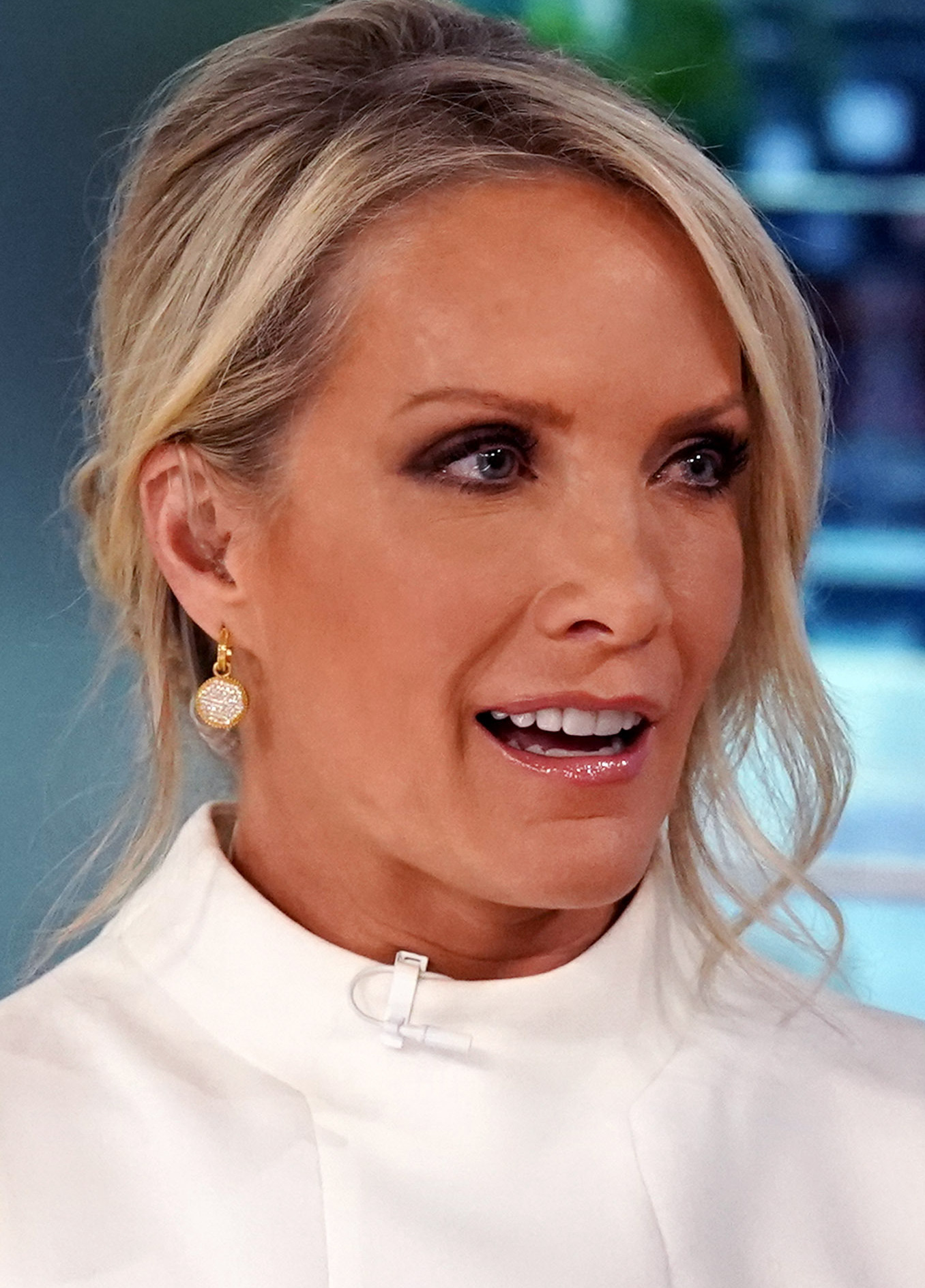 Dana Perino Photo