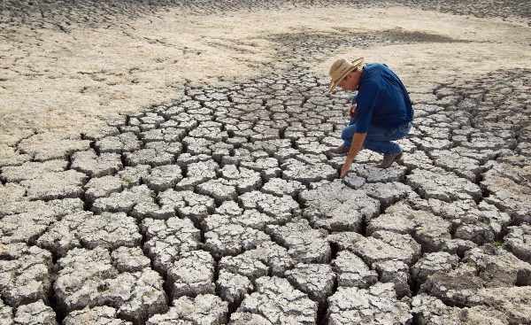 2011 Texas drought photo