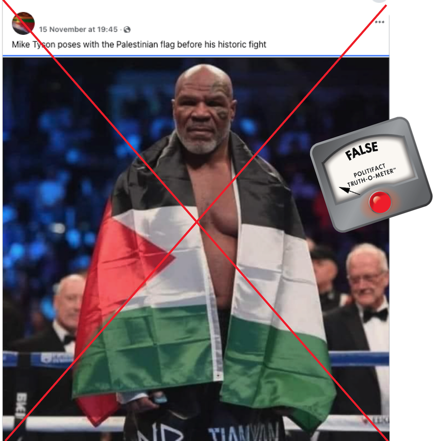 False graphic Mike Tyson draped in Palestine flag, 11-19-2024