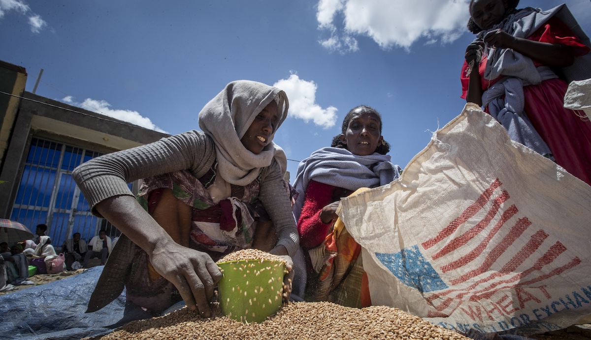 Ethiopian woman scoops up wheat in Agula, northern Ethiopia, 5-8-2021