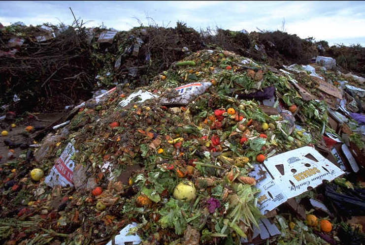 foodwaste