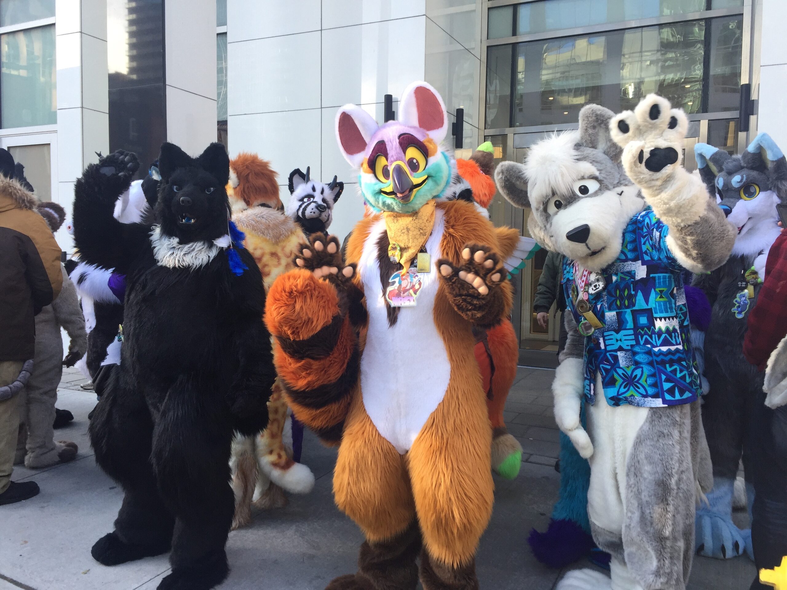 A group of furries line up for a photo at Anthrocon 2017 in Pittsburgh.
