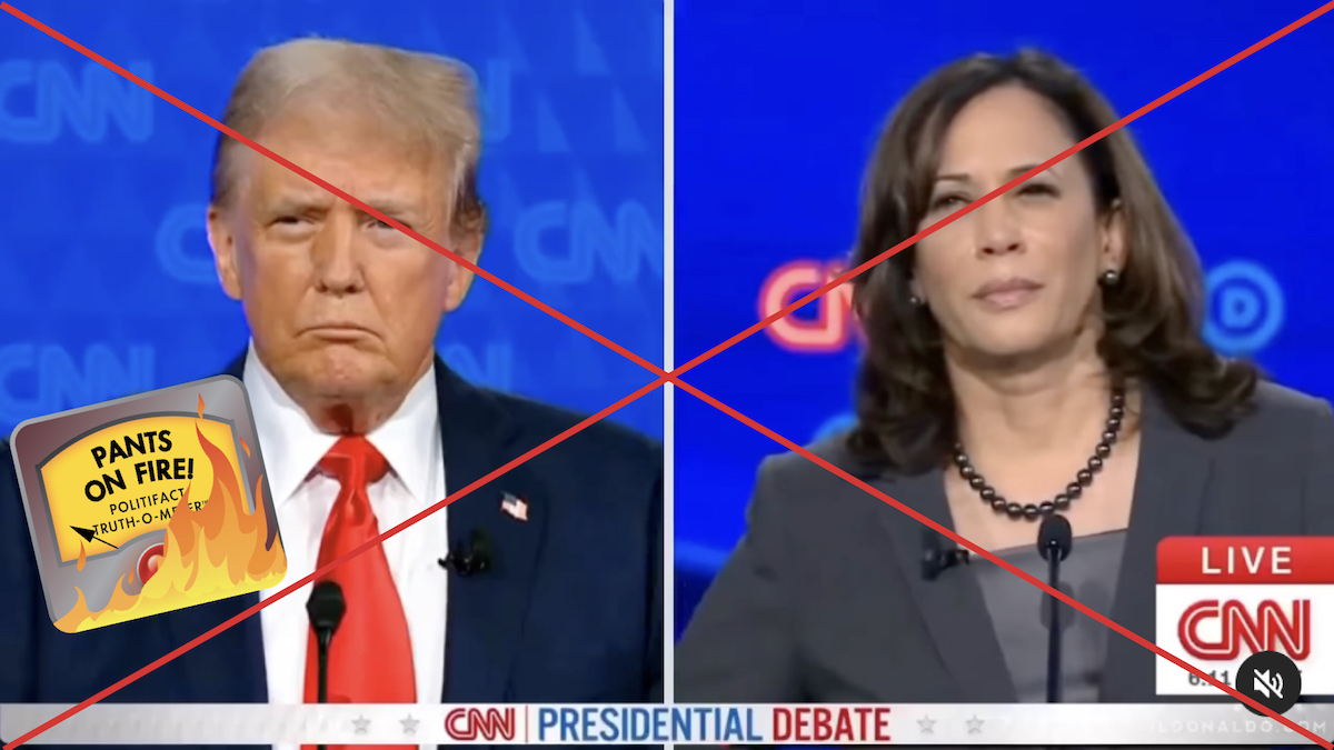 POF claim Trump played Hoochie Mama for Harris, 11/14/24