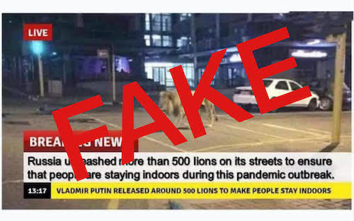 lion fake broadcast photo