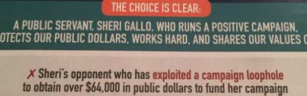Loophole mailer from Sheri Gallo 11/16