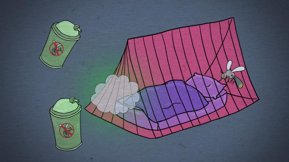 malaria mosquito still photo