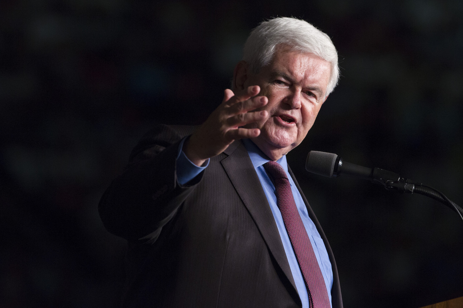 Gingrich defends trump on terror