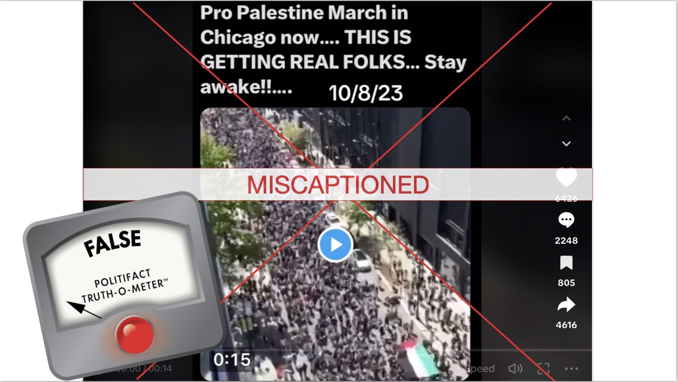 Screenshot of miscaptioned Palestine Chicago rally