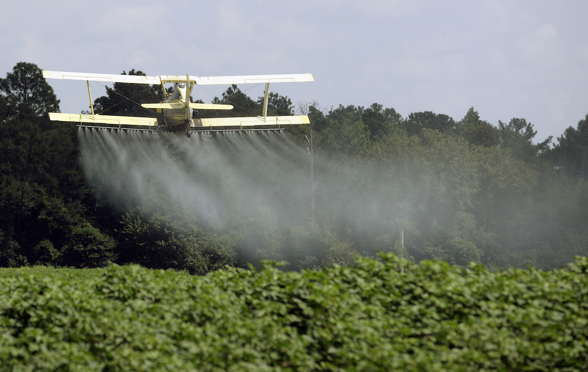 Pesticide spraying farm file photo