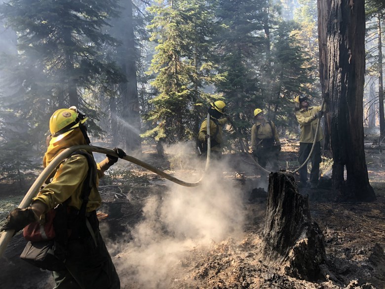 CA prescribed burn 2