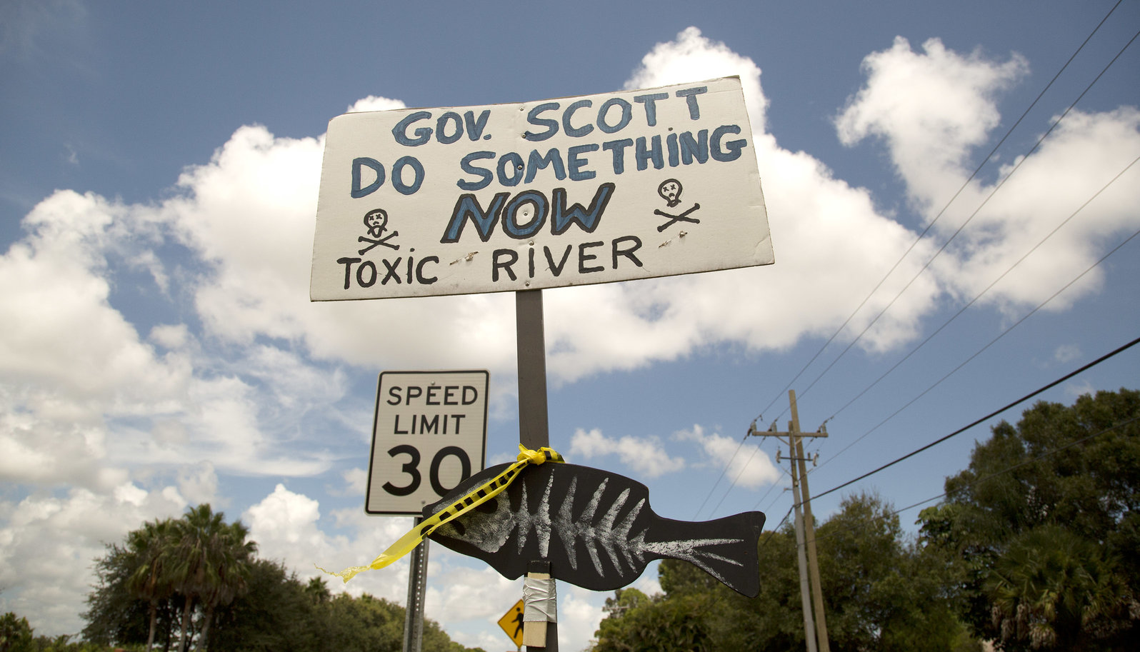 Scott Toxic River