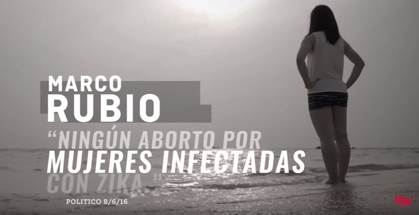 Rubio Me Conoce still