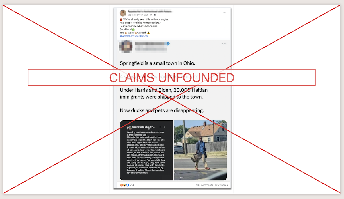 Springfield screenshot