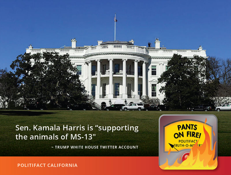 White House twitter attack