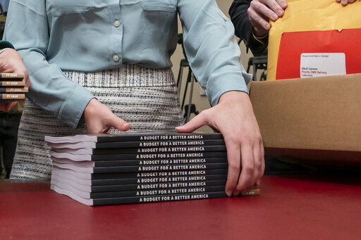 White House 2020 budget books