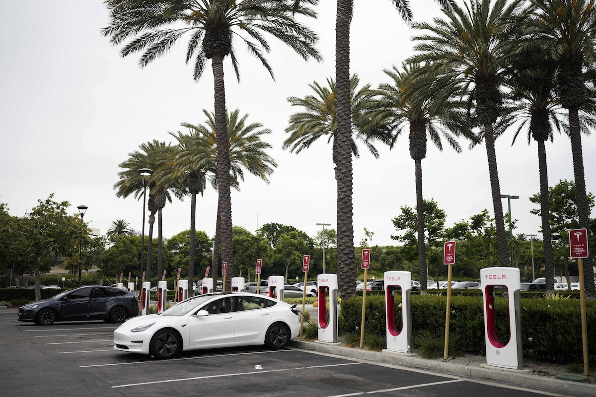 Cars charging with palm trees in the background