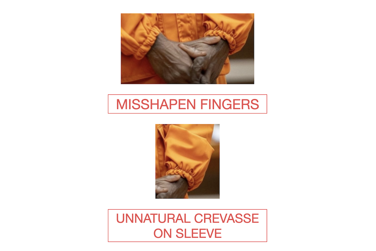 Graphic of features on photo of 'Dr. Sebi's cousin', 5-07-2024