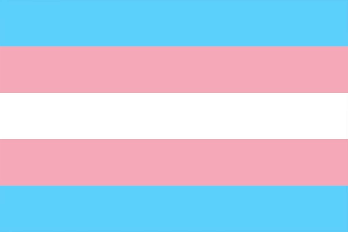 Trans pride flag generic image
