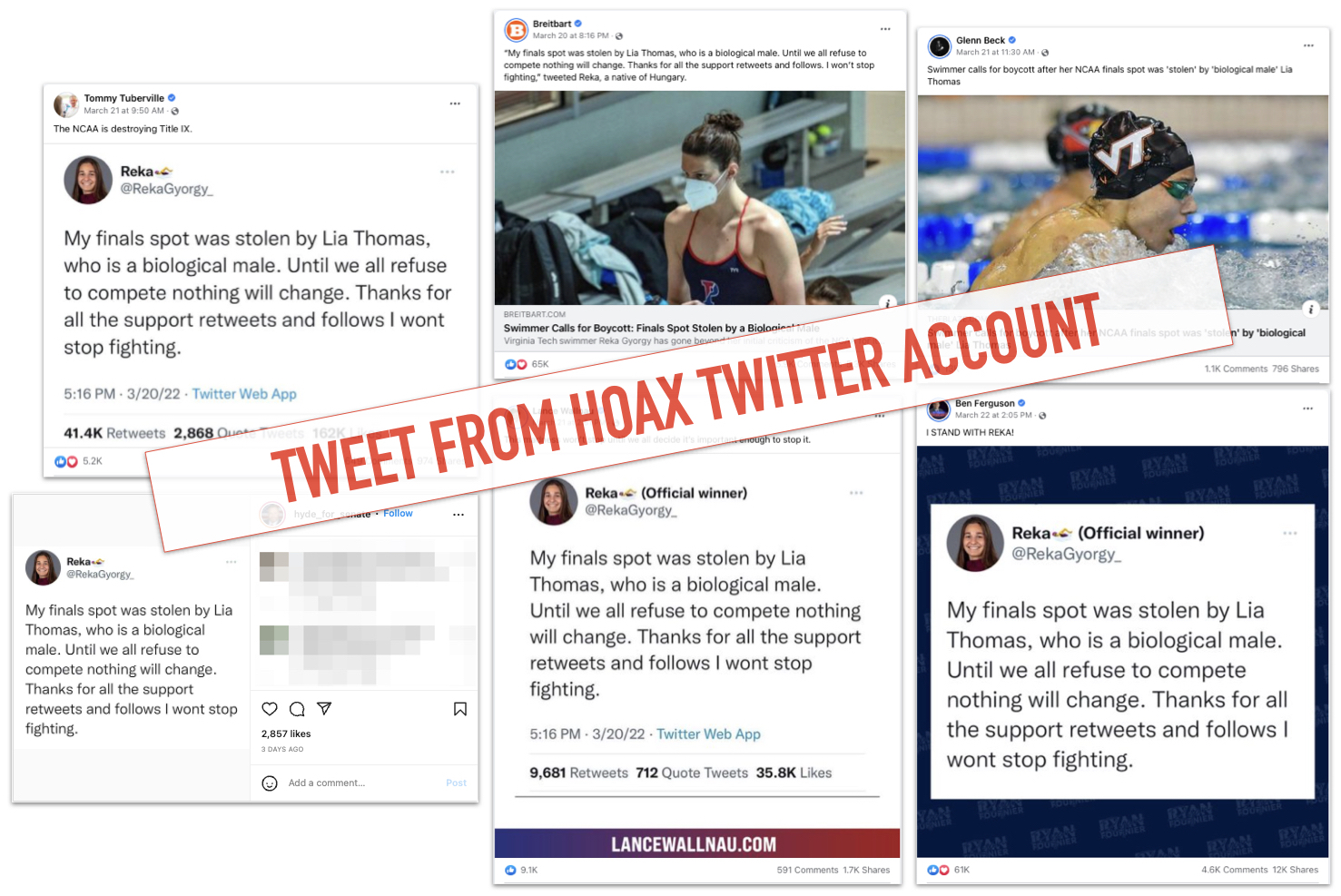 Reka Gyorgy fake tweet image compilation